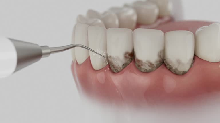 Reliable Dental contractor in Calvert, TX by Dentist Open Now